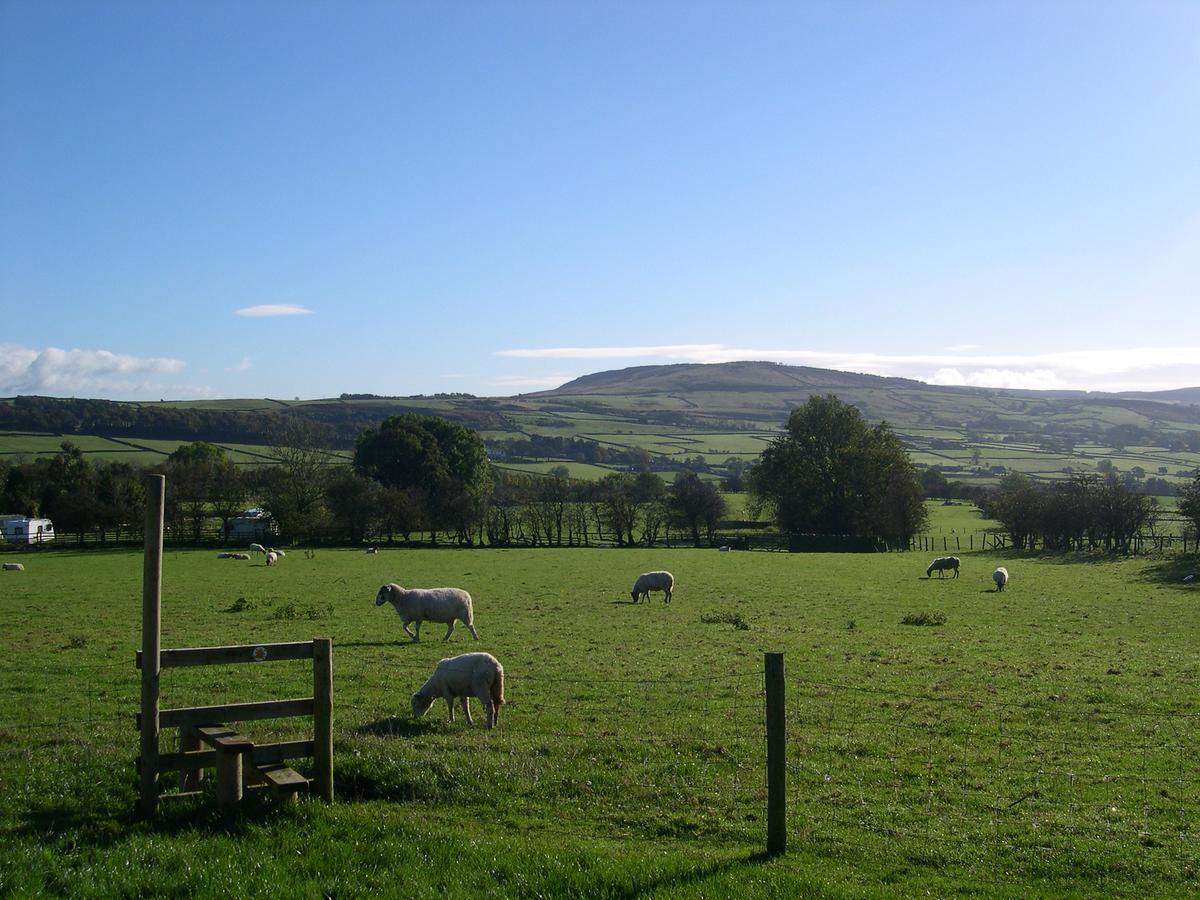 Pickersgill Manor Farm Bed and Breakfast Silsden Exteriör bild